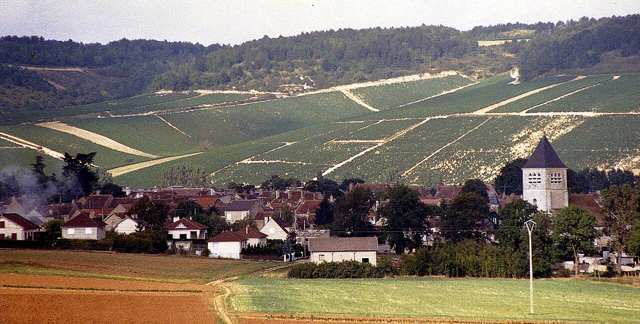 Vignoble de Champagne avec un village au creux des coteaux